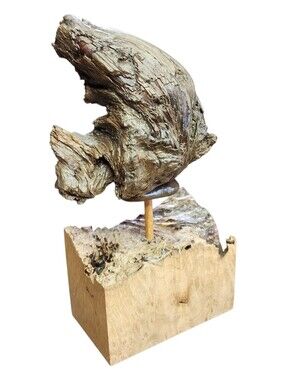 Vintage Natural Driftwood? Burl Wood? Signed Sculpture Art Installment '07 9.5"